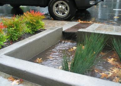 FLOW ENTRANCE Trench Drain Curb Cut Portland BES Do not use woody plants