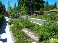 strategy that emphasizes protection and use of onsite natural features to manage stormwater.