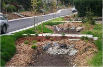 INTRODUCTION BIORETENTION AND RAIN GARDENS Primary functions Hydrologic benefits Water quality treatment Aesthetic