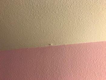 Nail pops at the ceiling does not appear unusual. 3.