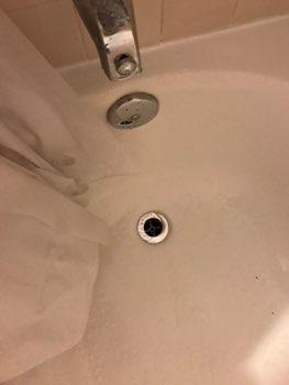 in wood decay. 8. Tub Tub was in good condition overall. Stopper is missing. Right side of tub 9.