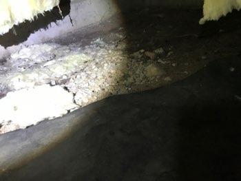 This is a conducive condition for wood decay and mold growth 9.