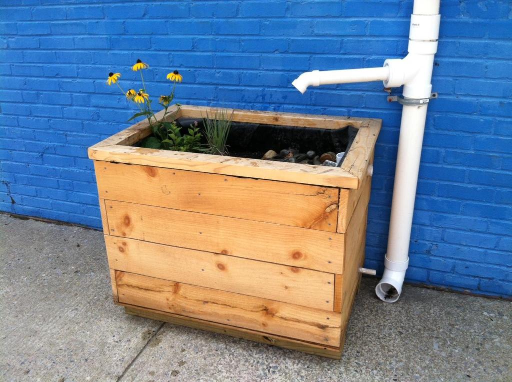 PLANTER BOXES: Downspout planter boxes are wooden boxes with plants