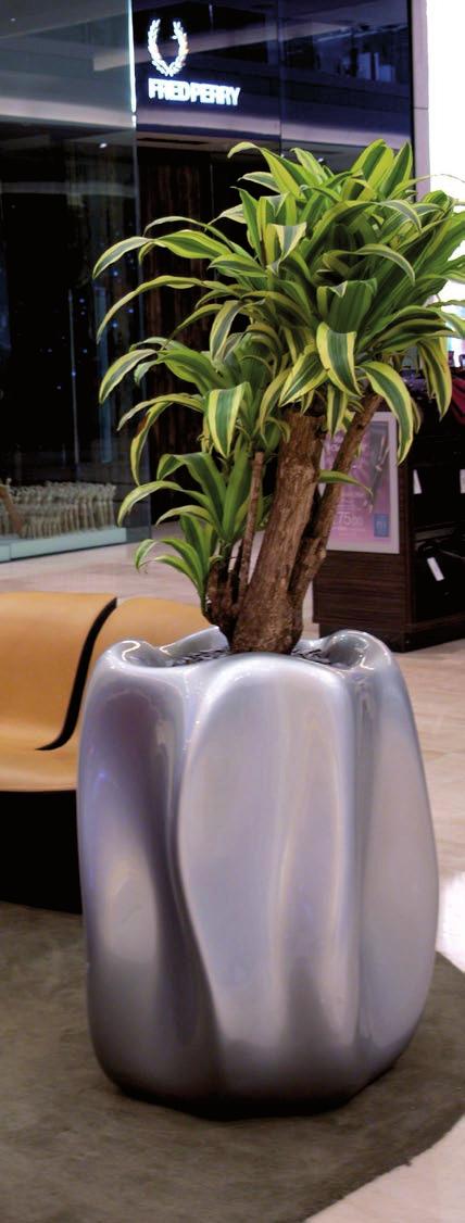 LIVE PLANTS LIVE PLANTS Plants for Business With over 25 years experience of installing and maintaining live plants in offices, restaurants, hotels and showrooms throughout the UK there is not much