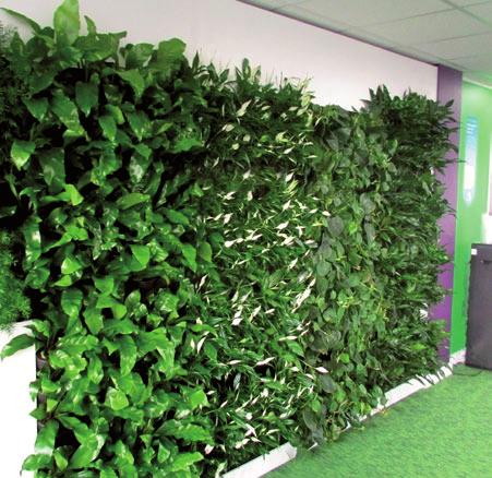 Sound Absorbtion Green walls can effectively reduce noise levels.