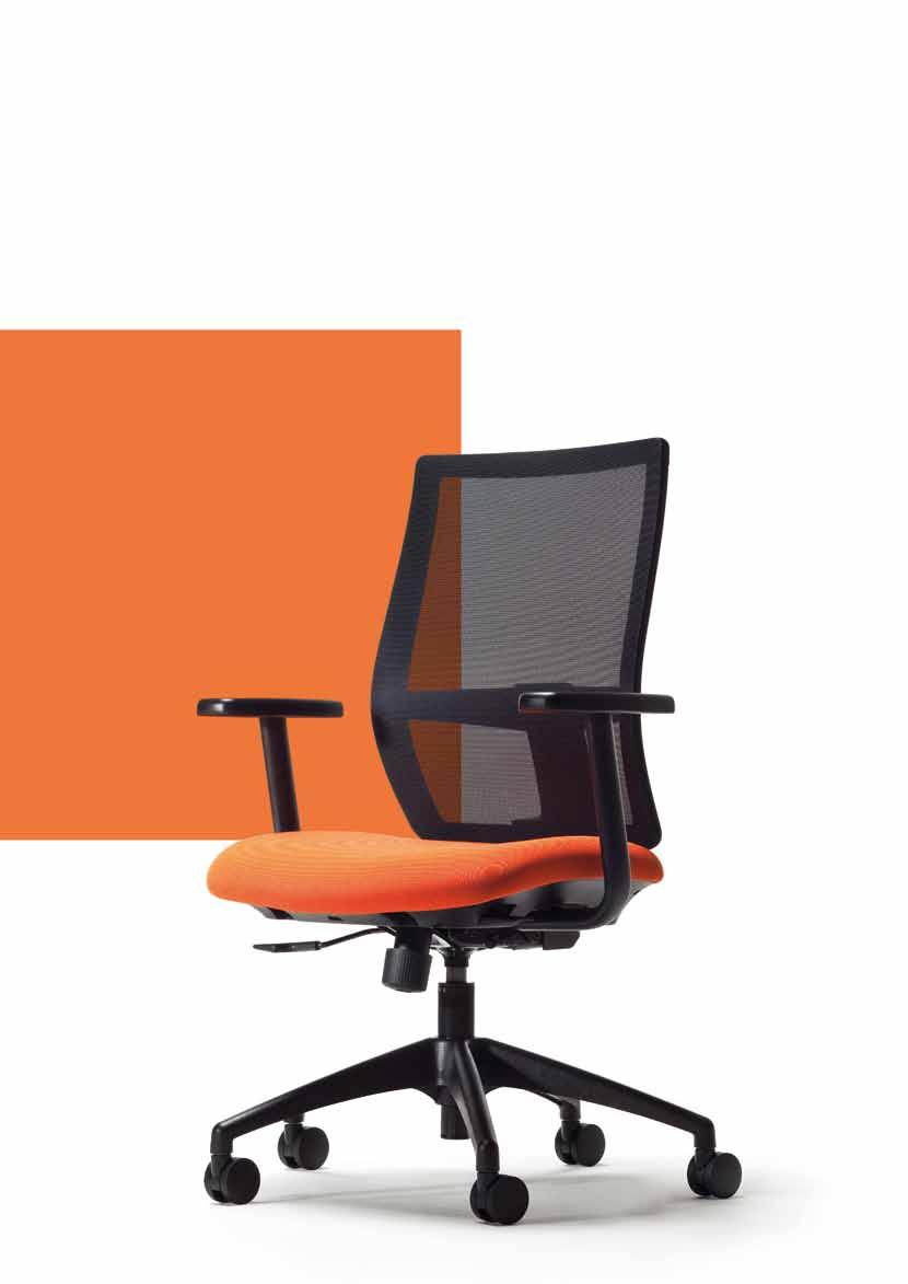 EZ65 Embody CHAIRS FOR EVERY BODY The EZ65 is a stylish chair with world-class ergonomic credentials thoughtfully designed with a comprehensive range of product options and adjustments.