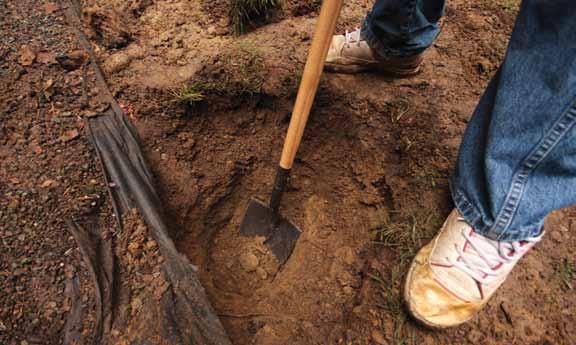 Digging Soon? Every digging job requires a call to 811 even small projects like planting trees or shrubs.