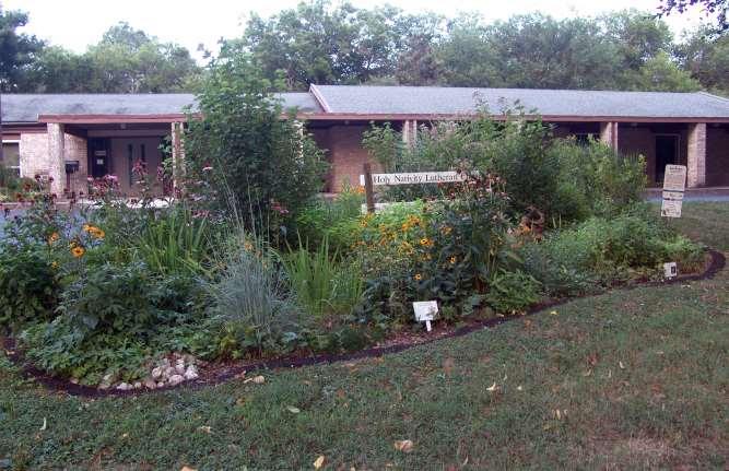Rain Garden A rain garden can be used as an attractive landscape feature that does not require