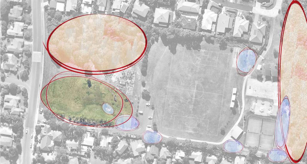SITE CHARACTER AREAS / VIEWS / DRAINAGE areas of potential DEHNGA PLACE BEECH DRIVE BUSH AREA EMBANKMENT OPEN GRASS AREA VIEW TO ESCARPMENT VIEW TO