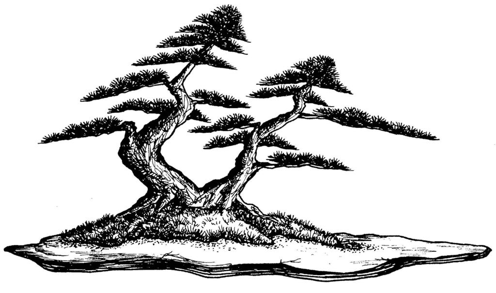 BONSAI SOCIETY OF THE CAROLINAS The BSC Executive Board will probably meet after the May meeting. Members are always invited to attend.