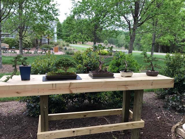 long. We will start with four benches and three to four trees per bench, so 12 to 16 trees will be on display.