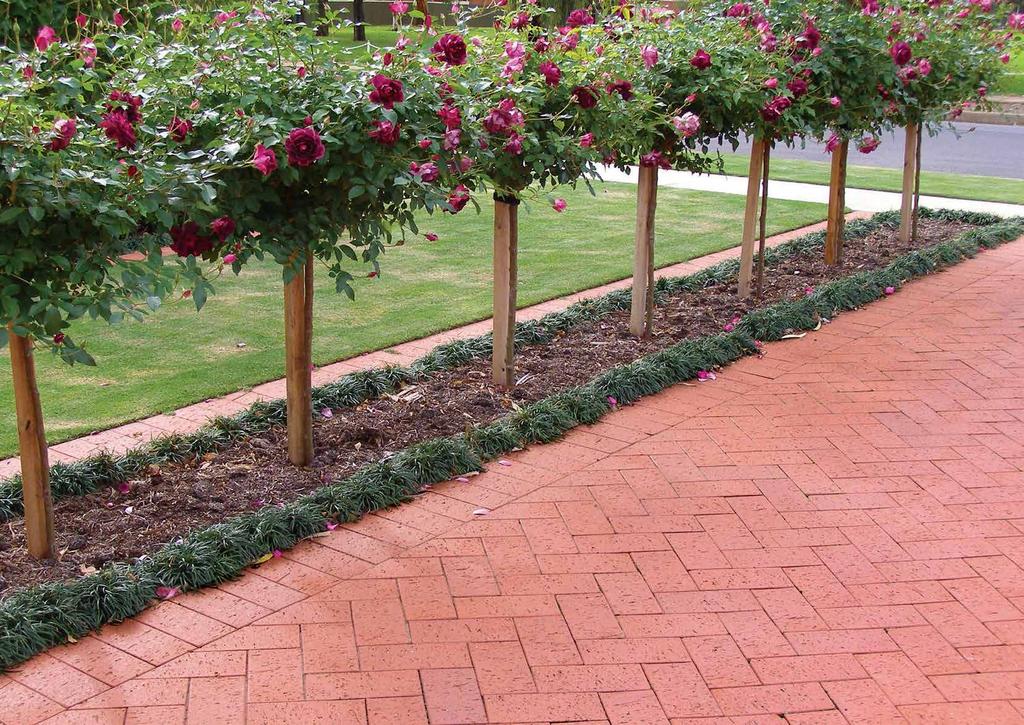 Contents Why choose Austral Bricks pavers?