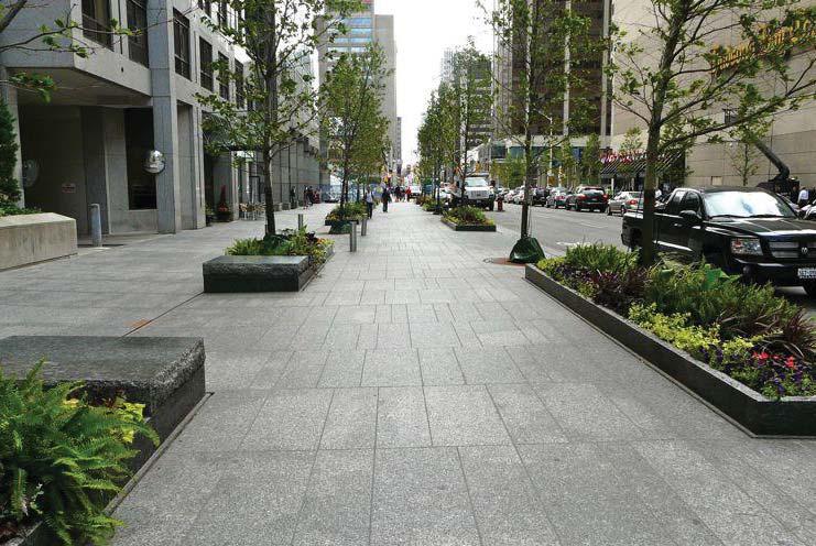 Installation details for urban trees are key to