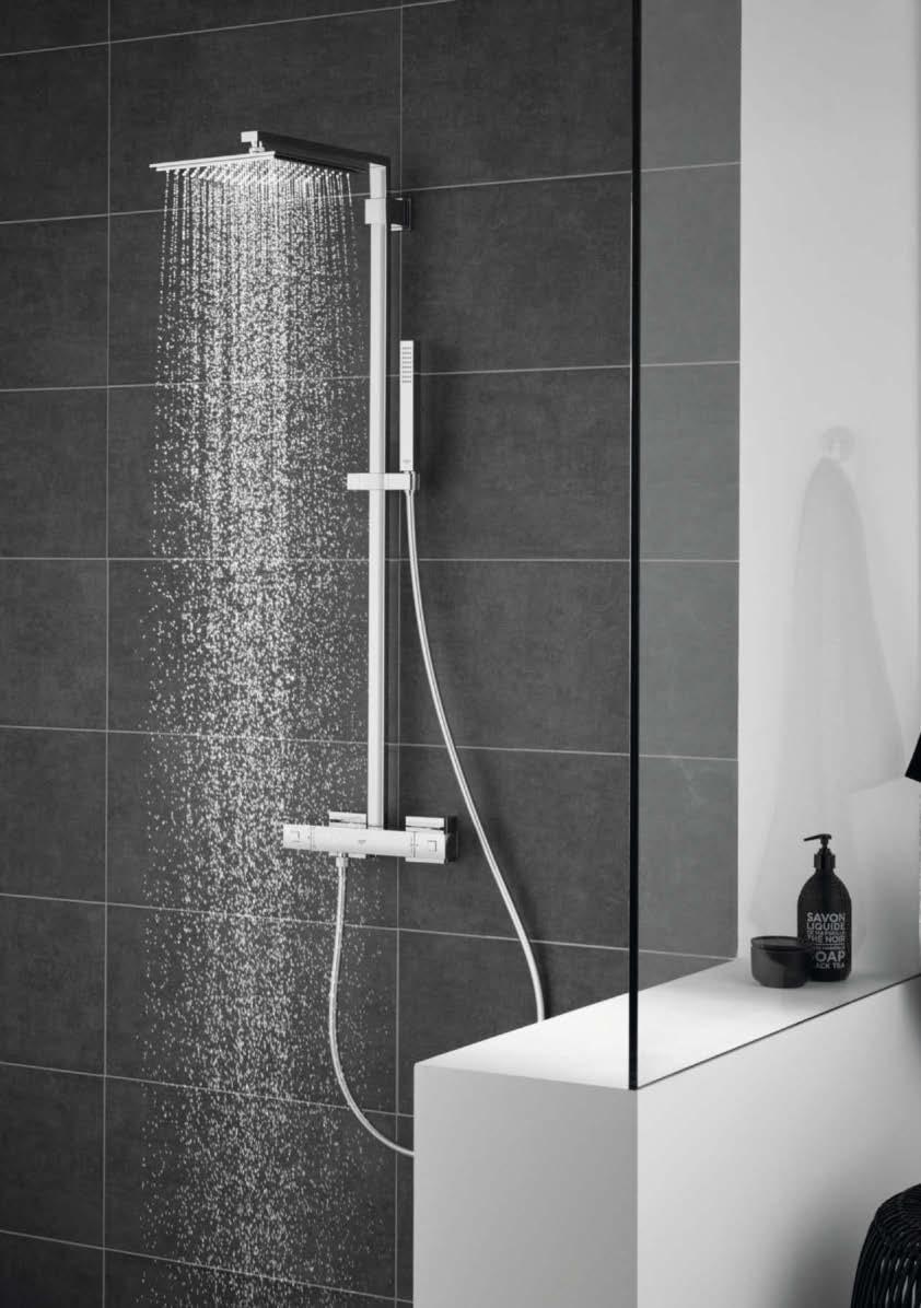 The fine water curtain falling in large, gentle droplets from the Rain spray softens the