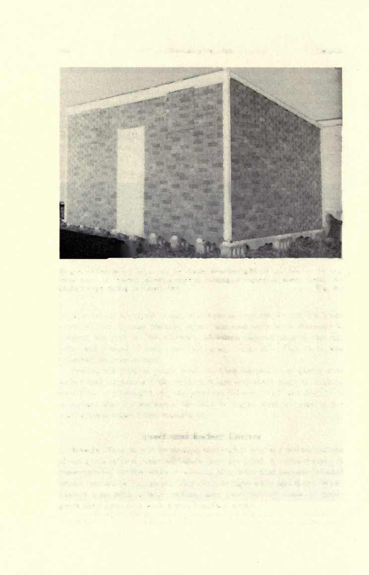 492 BULLETIN No. 553 [March, Single-walled wood bins can be made weathertight by an overlay of material such as cement-asbestos sheets, roofing, shingles, or sheet metal.