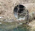 . Litter flows or is wind blown from the streets and shopping mall parking lots and is carried by storm sewers or overland flow to the Creek where it gets caught by rocks, tree branches