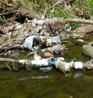 Photo RC3-Tr1 - Just Downstream of Route 309, upstream of Cut Tree Photos RC3-Tr1 and Tr2 shows the Creek trash conditions just downstream of