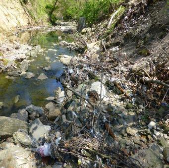Photo RC3-Tr3 Trash caught on woody debris downstream of Cut Tree and upstream of Manhole 1 Photo RC3-Tr4: