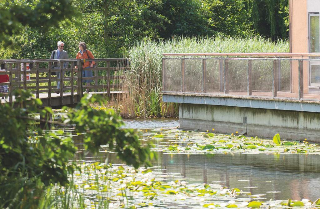 The Ecology Park on the north side of the village is a four acre freshwater wetland site providing a thriving