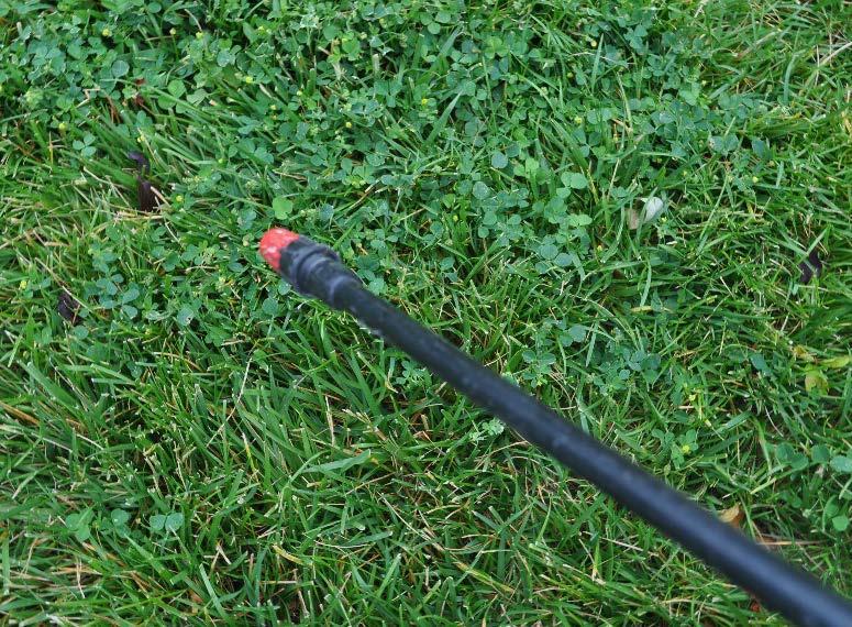 Lawn maintenance: weed control Best Practice: