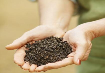 COMPOSTING: the process of