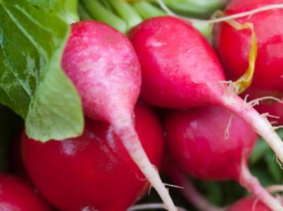 Radish Try eating a raw radish with a bit of butter and some seasoning and you have all the reasons you need to grow them. Crunchy, peppery and delicious.