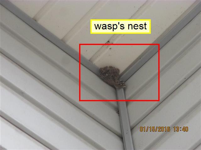 (3) There is a wasp's nest. This should be evaluated and removed by a licensed exterminator. 2.0 Item 5(Picture) 2.1 DOORS (Exterior) 2.