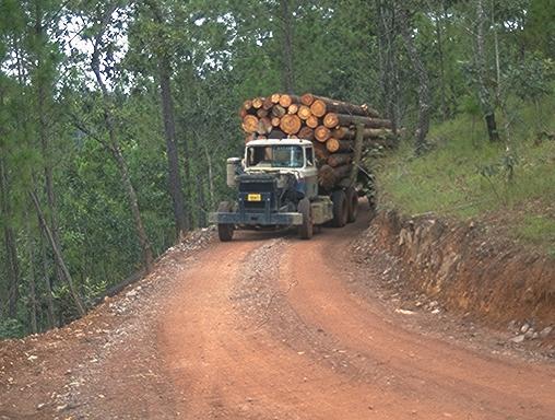 Photo 4.5 A stable logging road with aggregate surfacing.