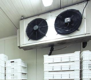 ELECTRONICALLY COMMUTATED MOTORS (ECMS) General Requirements: Incentives are available for installing energy-efficient fan motors on non self-contained refrigerated cases which meet the requirements