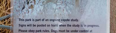 Please note: This is a catch and release program, which means coyotes are tagged, examined, and then released.
