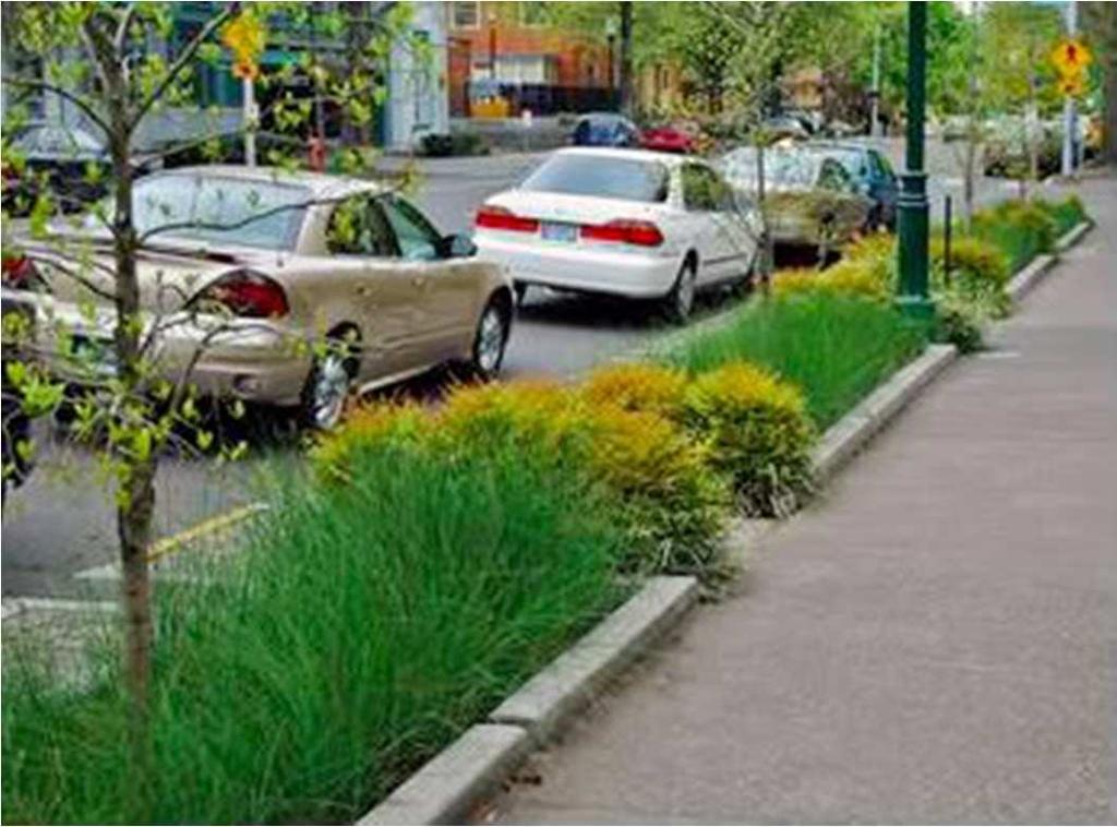 Photo: City of Portland, OR The complexity of your plantings should be tempered by maintenance