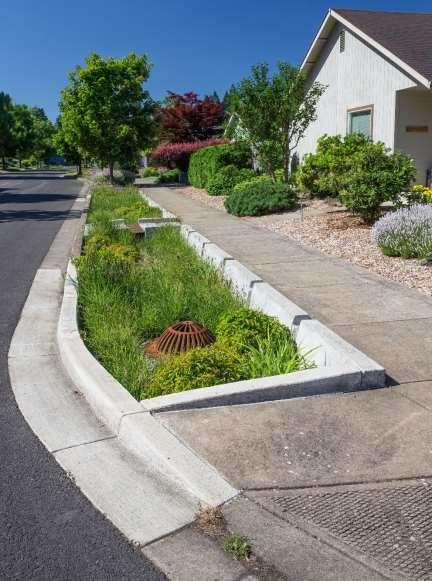 Hardscape features Curbs and walls Spillways & Splash pads Planter Inlet Weirs Sidewalk grates Planter