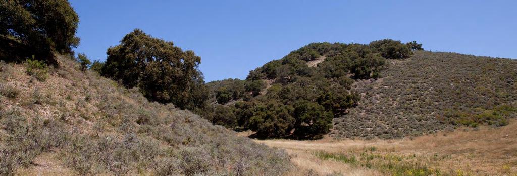 Pismo Preserve Details $12,000,000 TOTAL 890 acres Purchase in fee by The Land