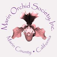 Marin Orchid Society Non-profit 501(c)3 Corporation Affiliate of the American Orchid Society February 27: Dave Sorokowsky 750 Lindaro, San Rafael, CA - Morning Glory Room, 7PM Hello BackBulb, Our