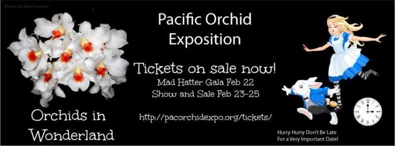 POE and other important events As you know, the 2018 year's Exposition will take place from Friday, February 23rd, through Sunday, February 25th, 2018, in the Hall of Flowers at Golden Gate Park, San