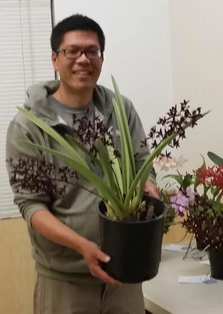 Page 2 Speaker s Choice May speaker Peter Lin selected Cymbidium canaliculatum Friends, grown by Theo Johnson, as his