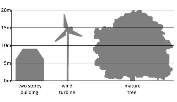 Ecology Overall a small scale turbine should not impact upon bird species and habitats.