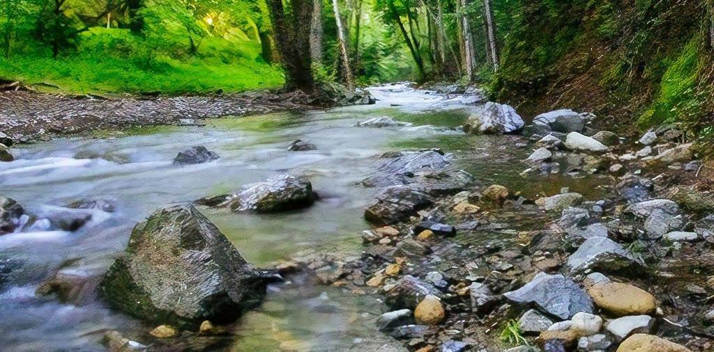 Living along a creek can enrich your life in several ways The tranquil sound of flowing water, the smell of fresh air, the beautiful scenery of tree-lined banks as well as the proximity to wildlife