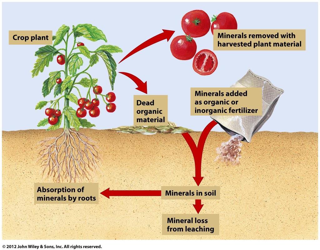 Soil Problems -