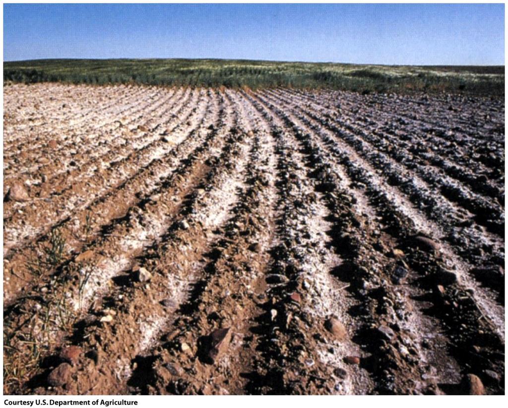 Soil Problems - Salinization Gradual accumulation of salt in the soil, usually due to improper