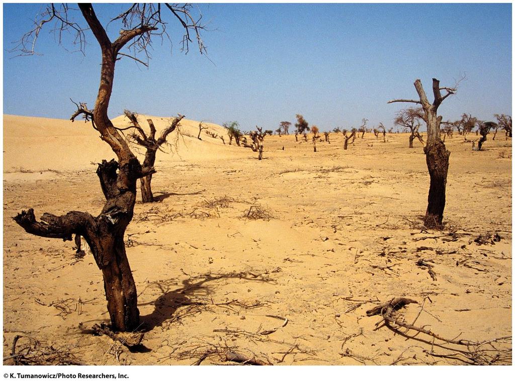 Soil Problems- Desertification Degradation of once-fertile