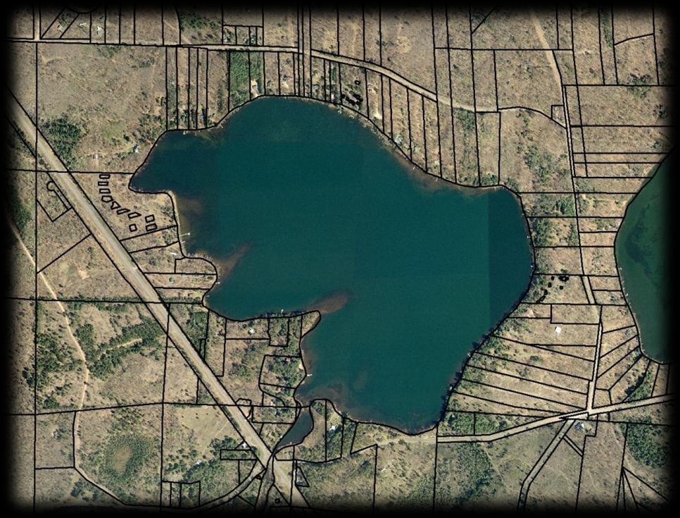 Bony Lake Lake Facts 191-acre spring fed, drainage lake Secchi readings 15-24 48