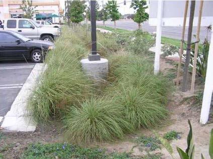 Page 3 of 37 Example Benchmark / Objective PARKING LOT RUNOFF (a) Is the use of bioretention islands and other stormwater practices allowed within landscaped areas and/or setbacks?