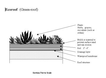 Figure 12-1 Greenroof standard detail Plants: Grasses, herbs Mulch or material to prevent surface wind and rain erosion Soil: 50 mm - 150 mm Drainage layer Waterproof membrane Roof structure Section