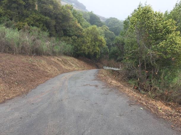 At the request of the HOA in June 2017, the road was assessed by SRFD and found it was severely overgrown blocking access for