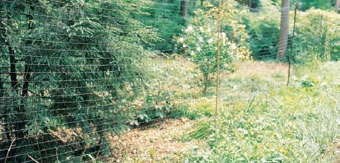 deer control Tenax deer control fencing is the ideal alternative where welded wire has been the traditional solution.