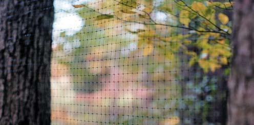 Our fencing comes in three different types of nets: Deer Net Folded, C-Flex, and our strongest fence, C-Flex P. Each, once installed as a fence with support posts, are effective against pesky deer.