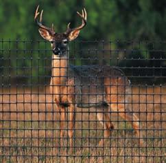 Tenax deer control fence and nets will not rust, rot or corrode, and will never need painting. They are effective and harmless alternatives to harmful poisons and useless scare tactics.