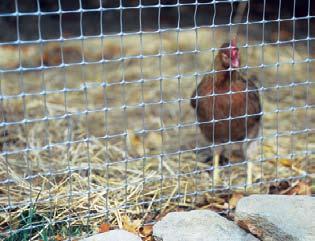 It is easy to wash down, and will not mold or mildew, allowing for the clean breeding of clean, productive poultry. HARDWARE NET millennium fence case qty 62073079 2 x 15.4 x.