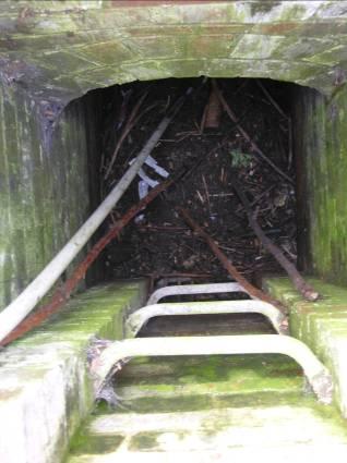 3.2 Shelter 1 A World War II air-raid shelter was recorded within the Worksite East area in sufficient detail to constitute an